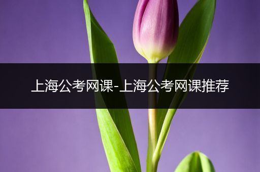 上海公考网课-上海公考网课推荐