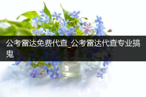 公考雷达免费代查_公考雷达代查专业搞鬼