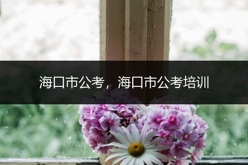 海口市公考，海口市公考培训