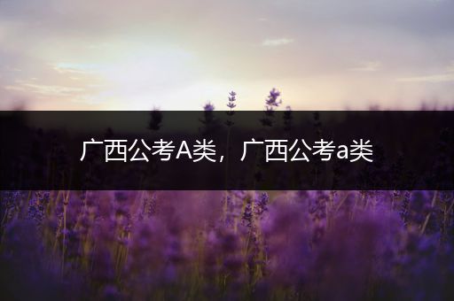 广西公考A类，广西公考a类