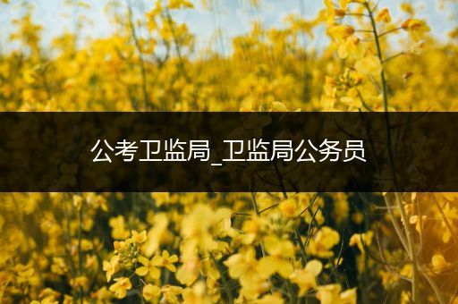 公考卫监局_卫监局公务员