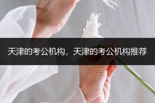 天津的考公机构，天津的考公机构推荐