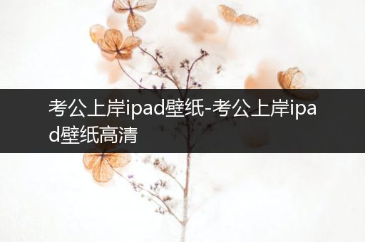 考公上岸ipad壁纸-考公上岸ipad壁纸高清