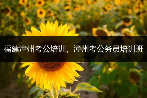 福建漳州考公培训，漳州考公务员培训班