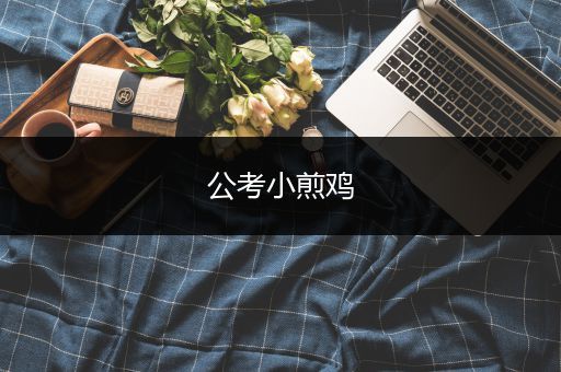 公考小煎鸡