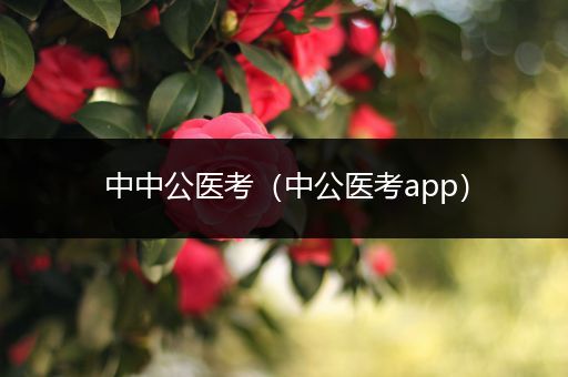 中中公医考（中公医考app）