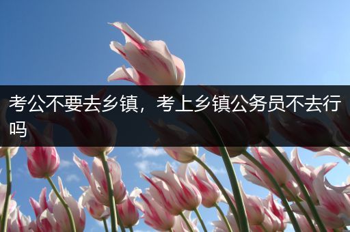 考公不要去乡镇，考上乡镇公务员不去行吗