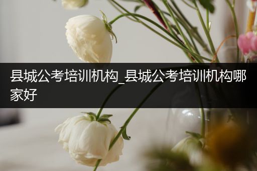 县城公考培训机构_县城公考培训机构哪家好