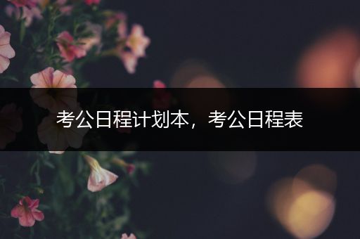 考公日程计划本，考公日程表