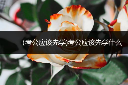 （考公应该先学)考公应该先学什么