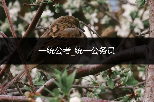 一统公考_统一公务员