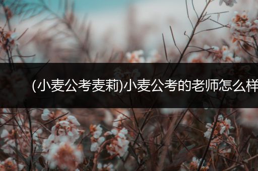 （小麦公考麦莉)小麦公考的老师怎么样