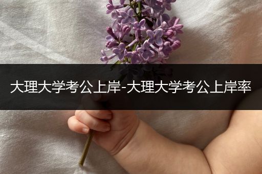 大理大学考公上岸-大理大学考公上岸率