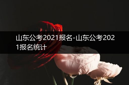 山东公考2021报名-山东公考2021报名统计