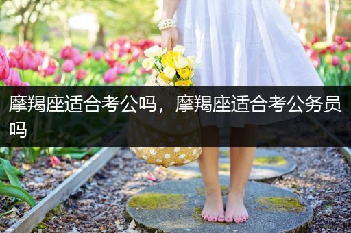摩羯座适合考公吗，摩羯座适合考公务员吗