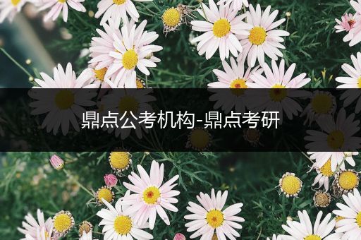 鼎点公考机构-鼎点考研