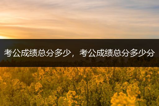 考公成绩总分多少，考公成绩总分多少分