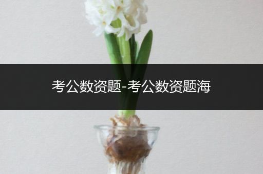 考公数资题-考公数资题海