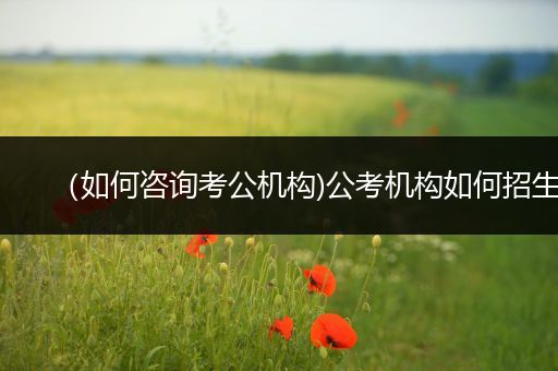 （如何咨询考公机构)公考机构如何招生