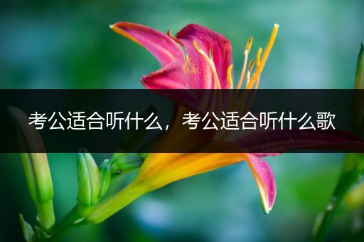 考公适合听什么，考公适合听什么歌