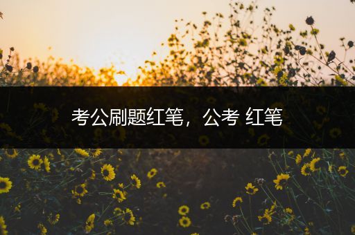 考公刷题红笔，公考 红笔