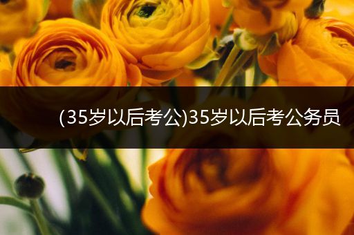 （35岁以后考公)35岁以后考公务员