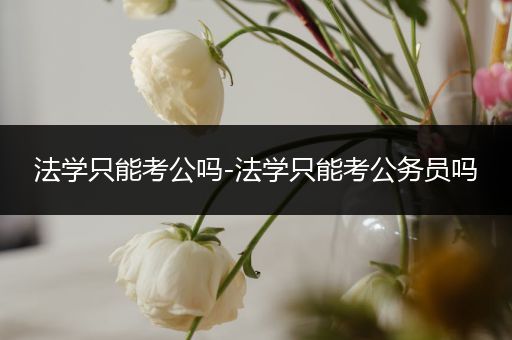 法学只能考公吗-法学只能考公务员吗