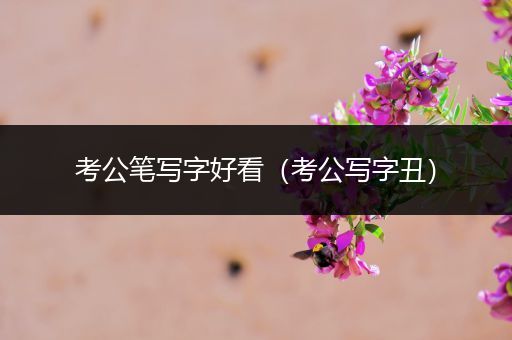 考公笔写字好看（考公写字丑）