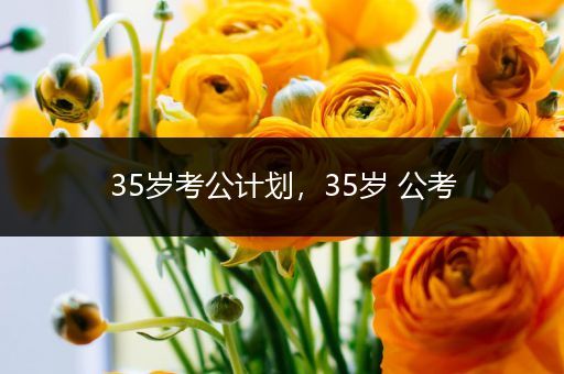 35岁考公计划，35岁 公考