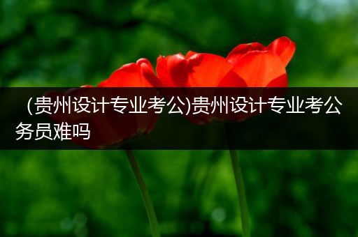 （贵州设计专业考公)贵州设计专业考公务员难吗