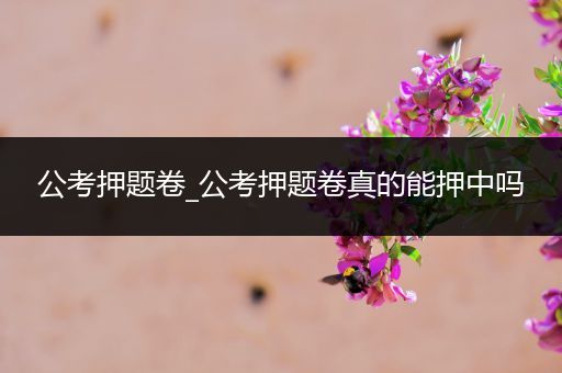 公考押题卷_公考押题卷真的能押中吗