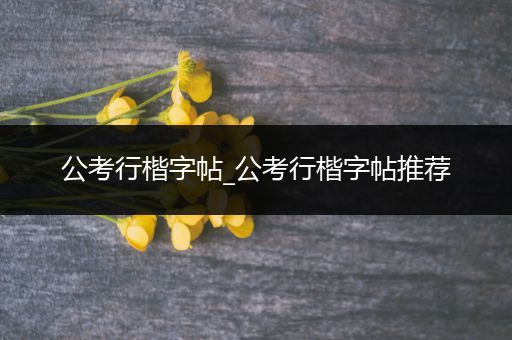 公考行楷字帖_公考行楷字帖推荐