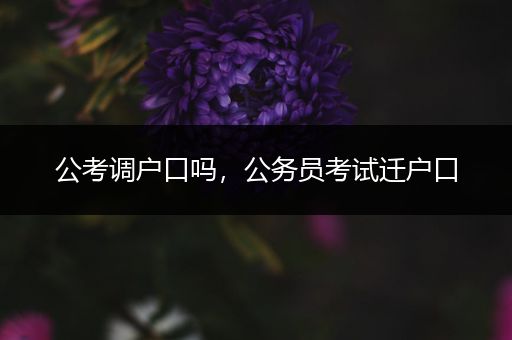 公考调户口吗，公务员考试迁户口