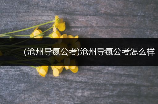 （沧州导氮公考)沧州导氮公考怎么样