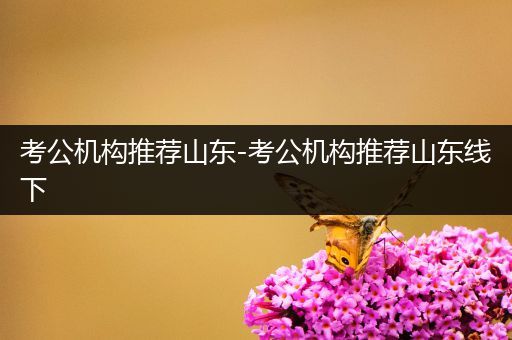 考公机构推荐山东-考公机构推荐山东线下