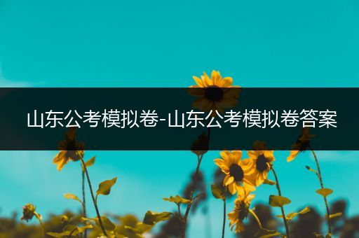 山东公考模拟卷-山东公考模拟卷答案