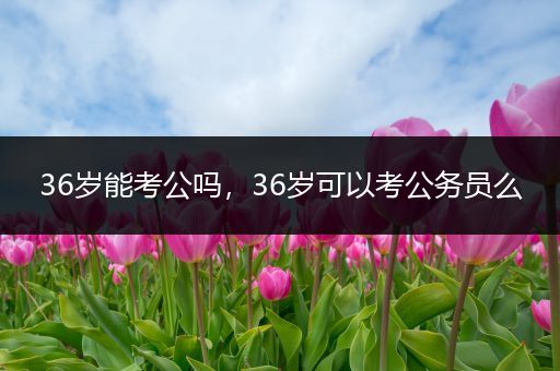 36岁能考公吗，36岁可以考公务员么