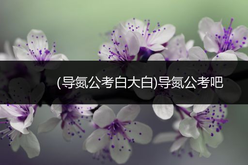 （导氮公考白大白)导氮公考吧