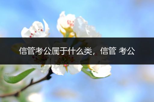 信管考公属于什么类，信管 考公