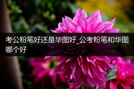 考公粉笔好还是华图好_公考粉笔和华图哪个好