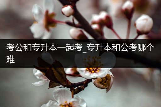 考公和专升本一起考_专升本和公考哪个难
