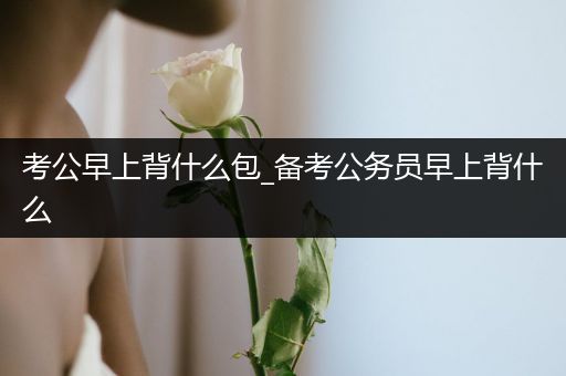 考公早上背什么包_备考公务员早上背什么