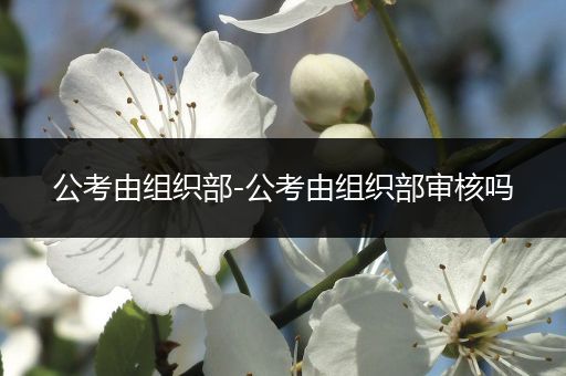公考由组织部-公考由组织部审核吗