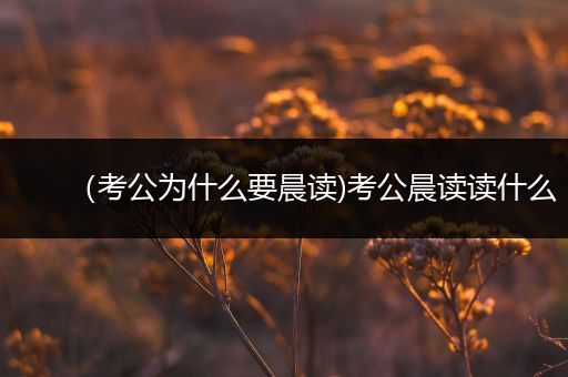 （考公为什么要晨读)考公晨读读什么