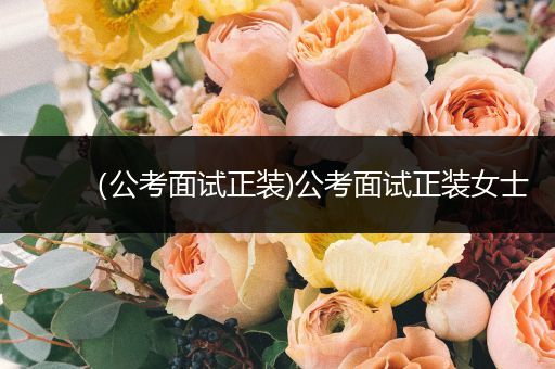 （公考面试正装)公考面试正装女士