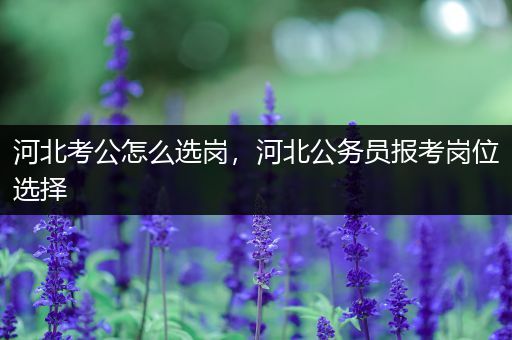 河北考公怎么选岗，河北公务员报考岗位选择