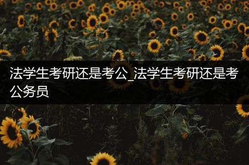 法学生考研还是考公_法学生考研还是考公务员