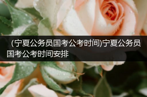 （宁夏公务员国考公考时间)宁夏公务员国考公考时间安排