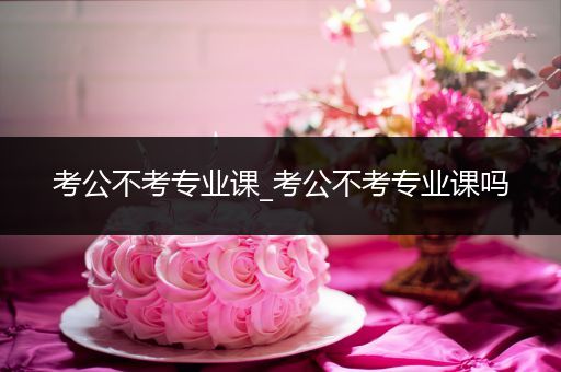 考公不考专业课_考公不考专业课吗