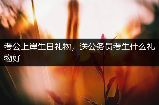 考公上岸生日礼物，送公务员考生什么礼物好